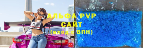 ПСИЛОЦИБИНОВЫЕ ГРИБЫ Богданович