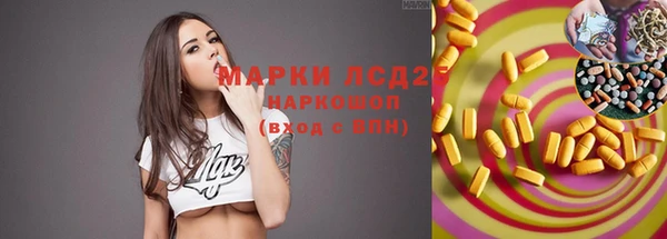 ПСИЛОЦИБИНОВЫЕ ГРИБЫ Богданович