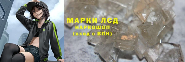 ПСИЛОЦИБИНОВЫЕ ГРИБЫ Богданович
