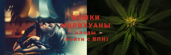 ПСИЛОЦИБИНОВЫЕ ГРИБЫ Богданович