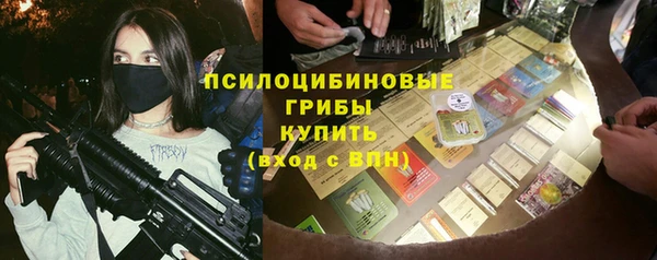 гашик Богородицк