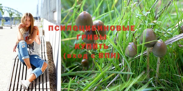 гашик Богородицк