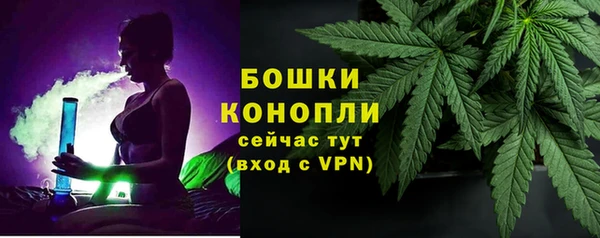 ПСИЛОЦИБИНОВЫЕ ГРИБЫ Богданович