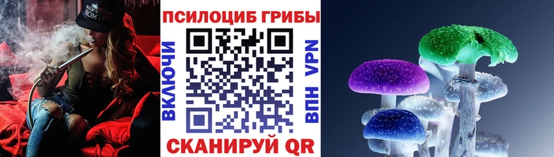 Псилоцибиновые грибы мицелий Белово