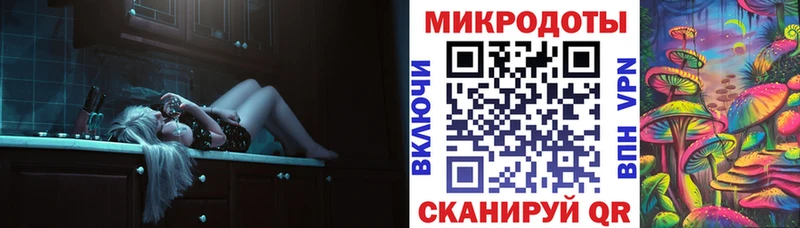 Псилоцибиновые грибы Psilocybine cubensis  Купить где  Белово 